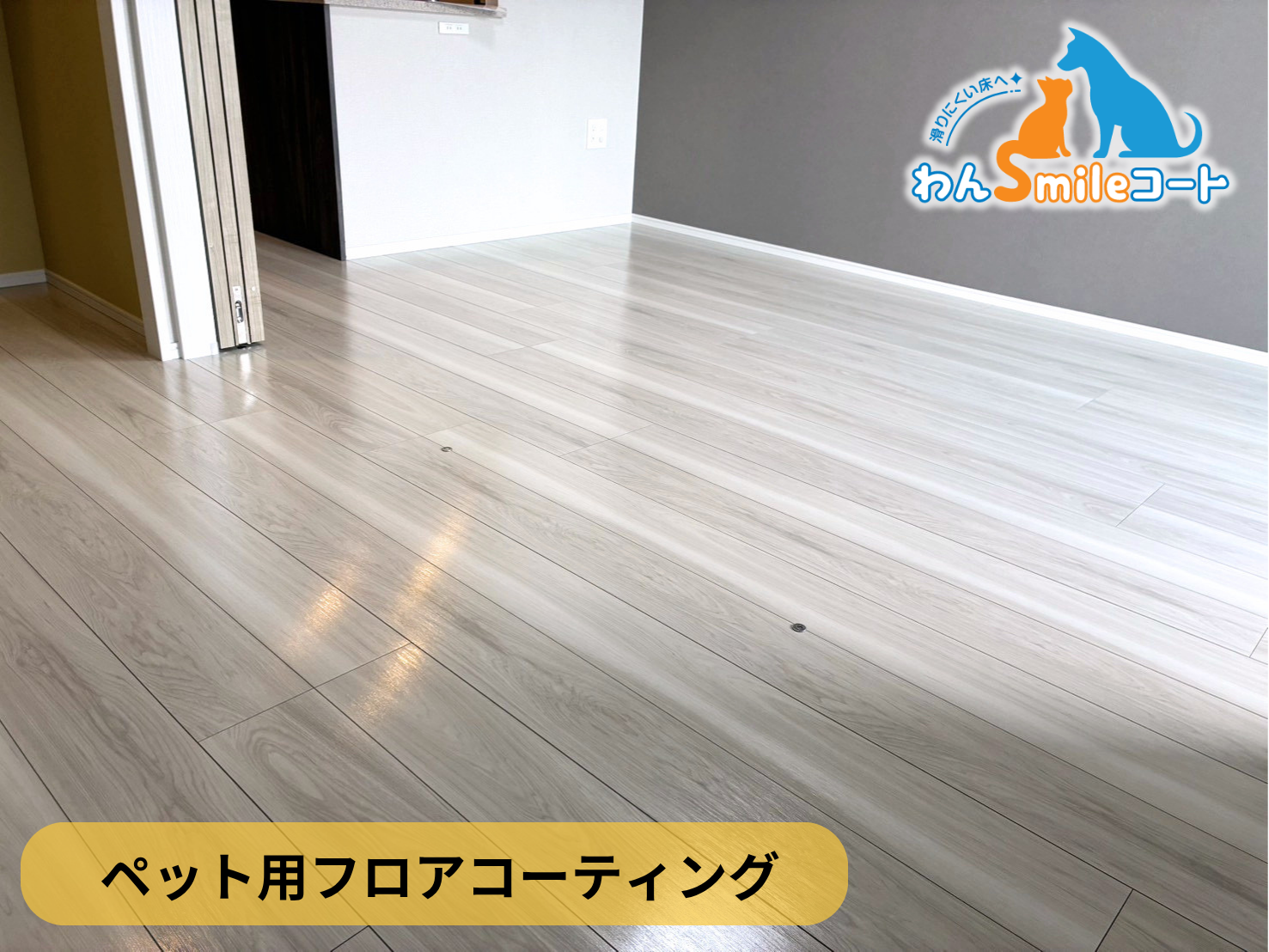 【東京都立川市】ペット用フロアコーティング施工事例｜新築マンション(グローベル立川プレミアム)　わんスマイルコート