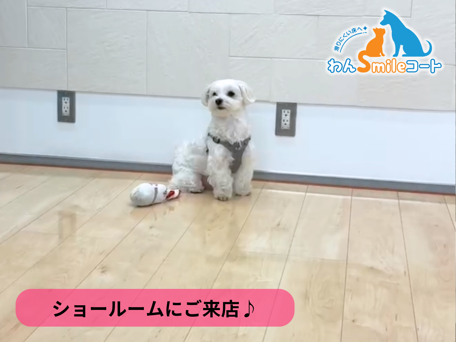 【埼玉県さいたま市】ショールームにご来店いただきました｜フロアコーティングご相談事例