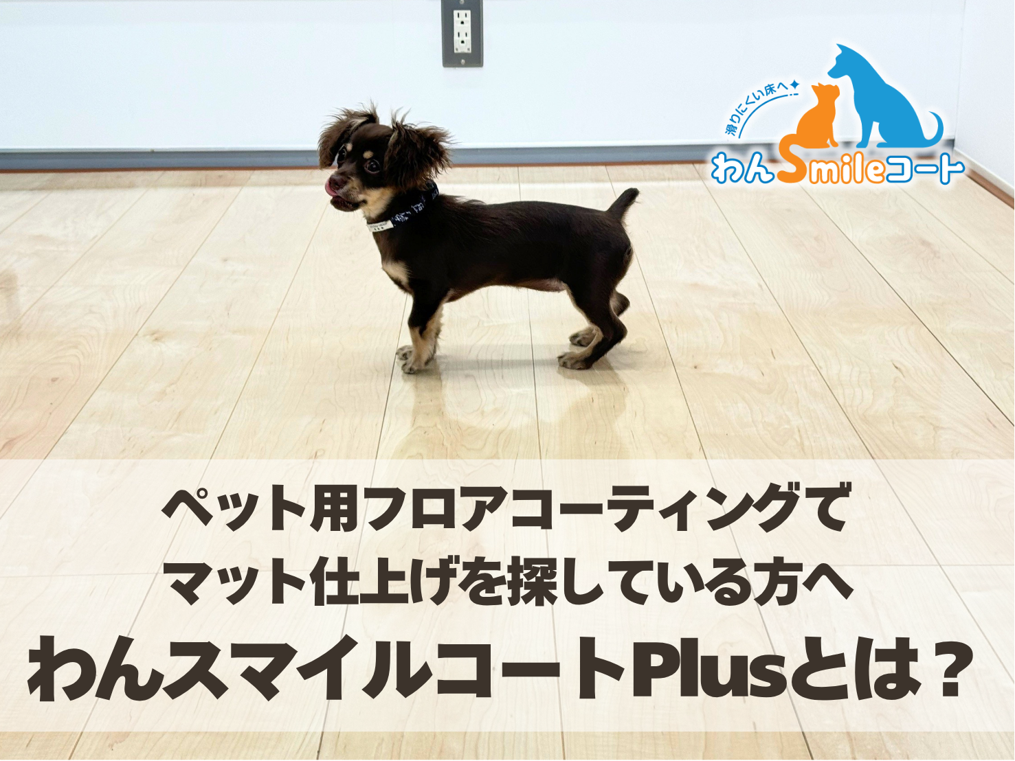 犬と暮らす家庭向けのマット仕上げフロアコーティング わんスマイルコートPlus施工後の床