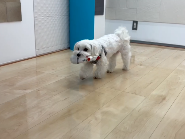 埼玉県さいたま市ショールームにご来店｜フロアコーティングのご相談