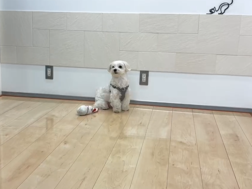 さいたま市ショールームで実際に見て・触れて確認できる様子