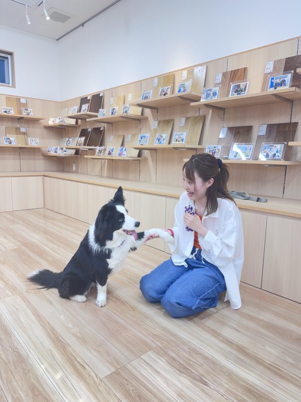 郡山ショールーム　わんスマイルコート　お客様の様子
