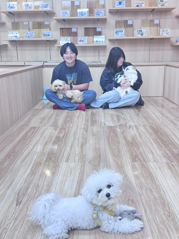 郡山ショールーム　わんスマイルコート　お客様の様子