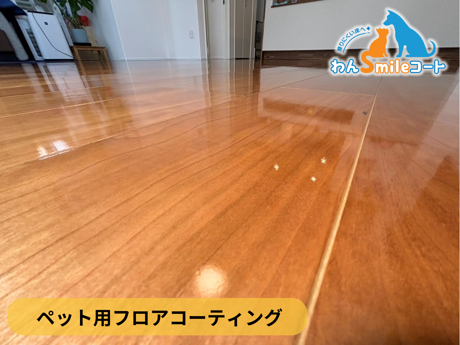 【千葉県松戸市】ペット用フロアコーティング施工事例｜入居中戸建て(2年)　わんスマイルコート