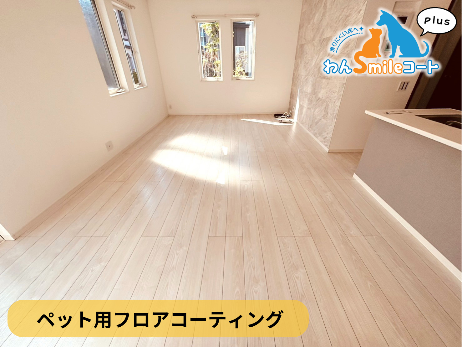 【千葉県千葉市美浜区】ペット用フロアコーティング施工事例|新築戸建て わんスマイルコートplus