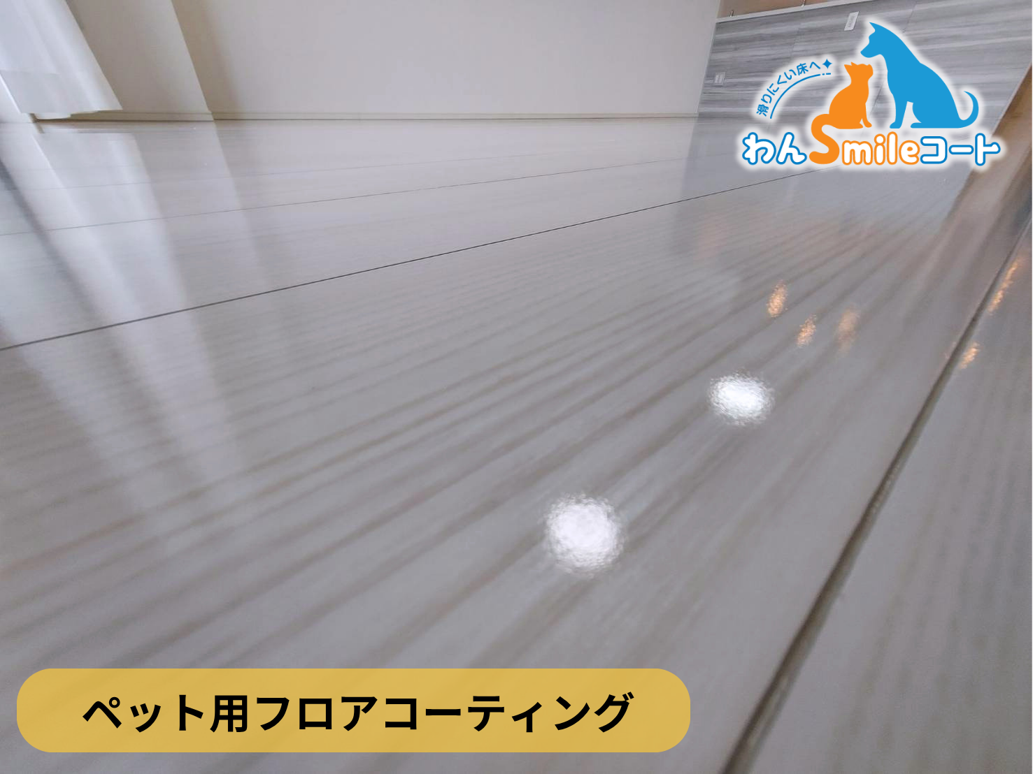 【福島県郡山市】ペット用フロアコーティング施工事例｜新築戸建て　わんスマイルコート