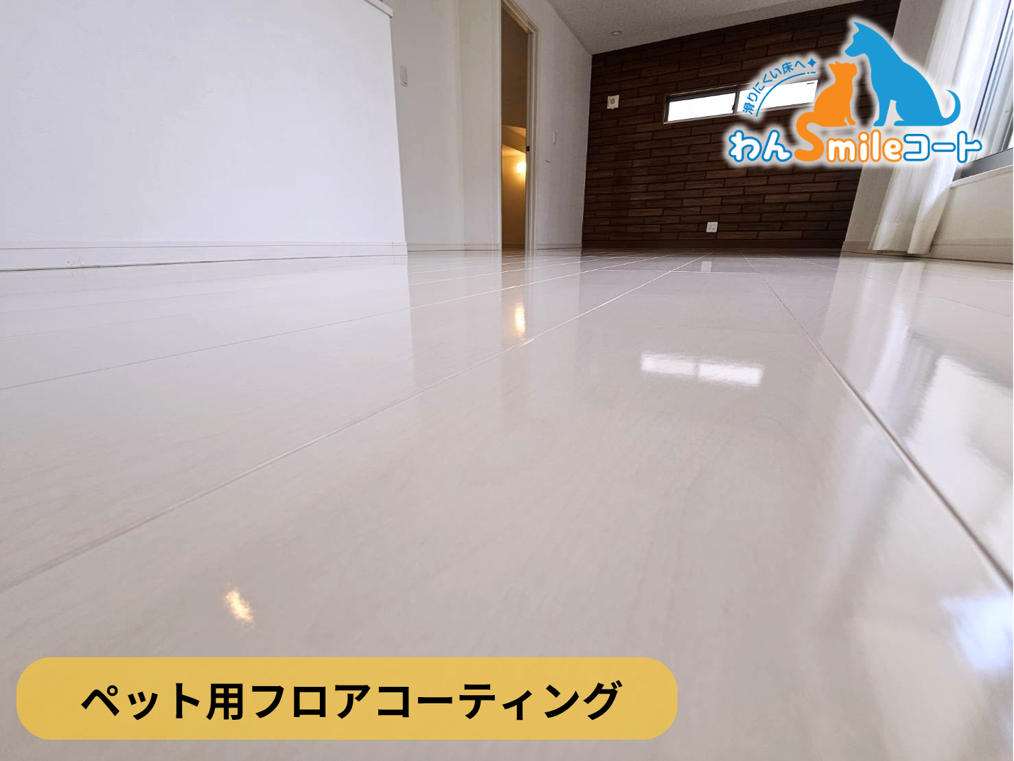 【神奈川県横浜市戸塚区】ペット用フロアコーティング施工事例|中古戸建て わんスマイルコート
