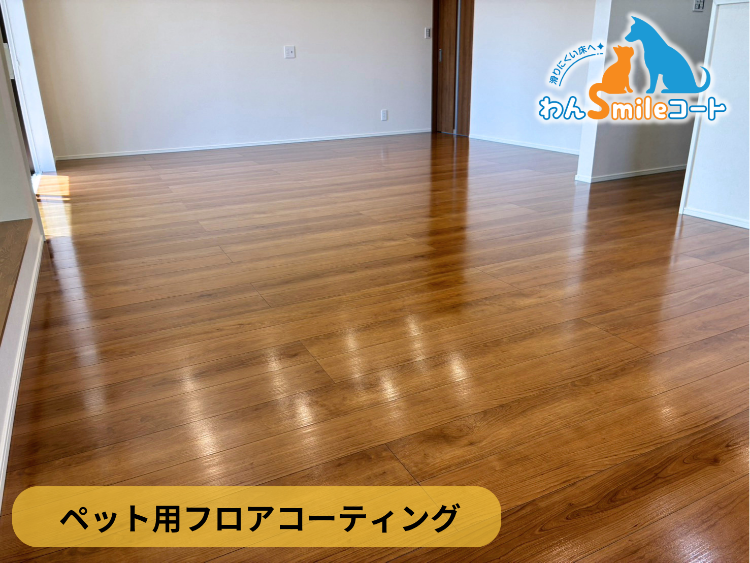【埼玉県北葛飾郡松伏町】ペット用フロアコーティング施工事例｜新築戸建て　わんスマイルコート