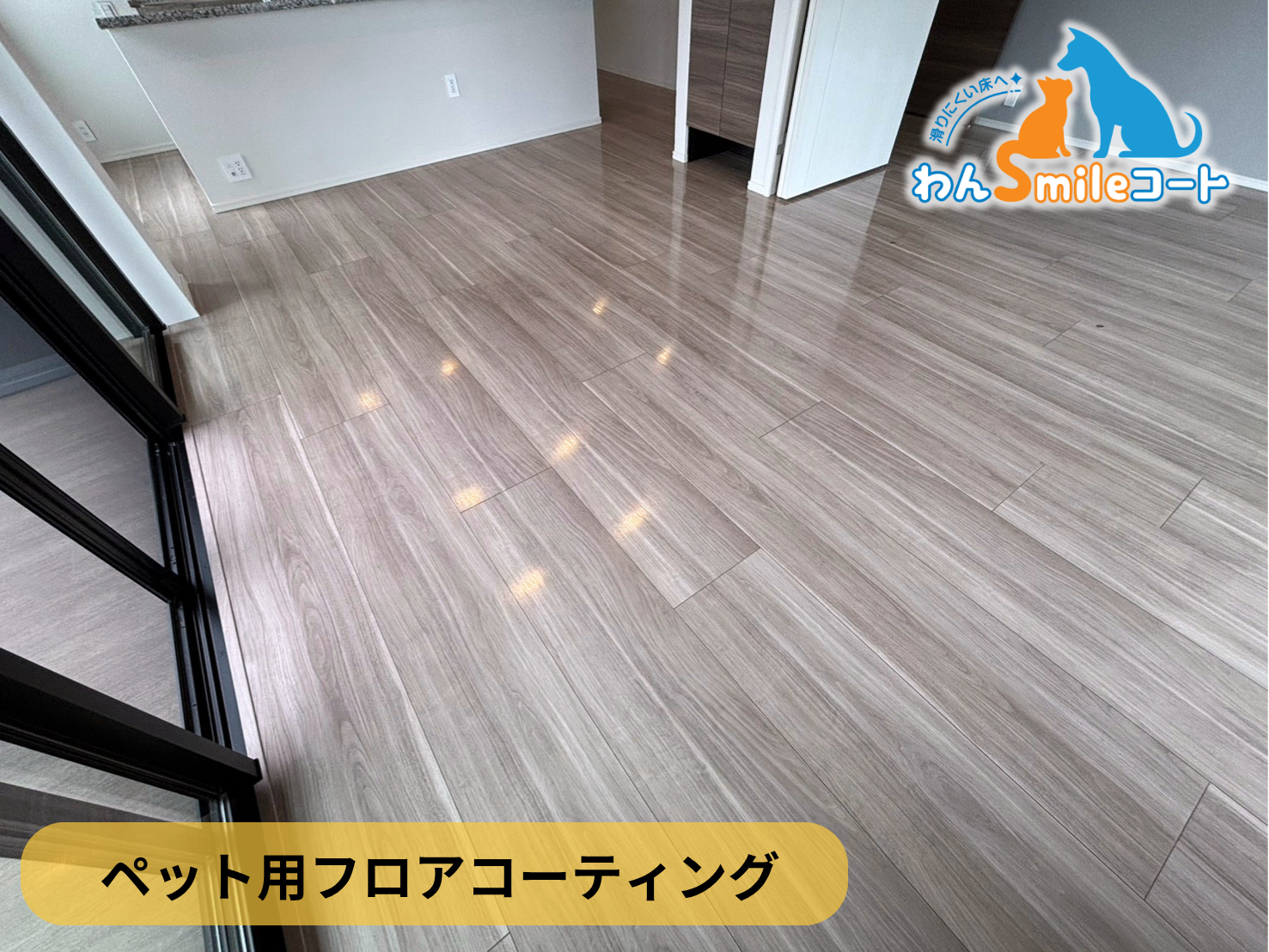 【埼玉県川口市】ペット用フロアコーティング施工事例|中古マンション(築3年) わんスマイルコート
