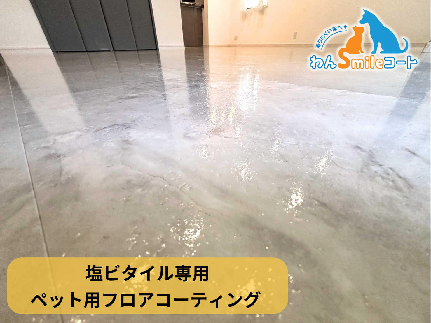【埼玉県さいたま市大宮区】ペット用フロアコーティング施工事例|入居中戸建て わんスマイルコート