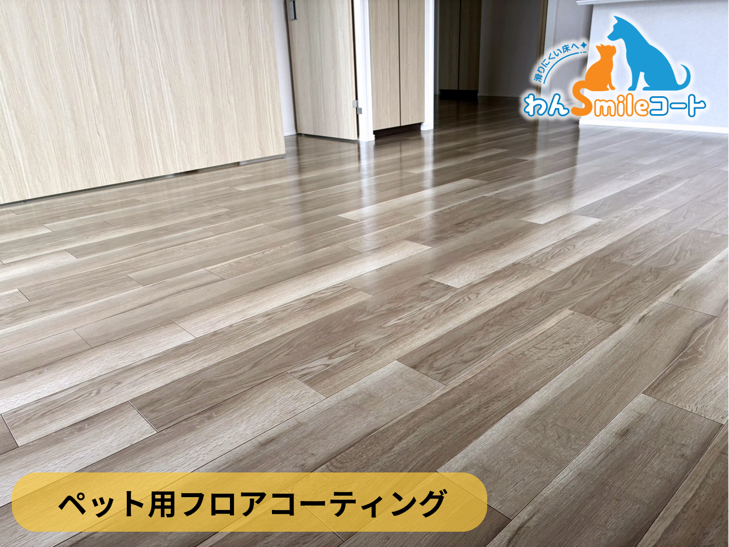 【東京都稲城市】ペット用フロアコーティング施工事例｜中古マンション　わんスマイルコート