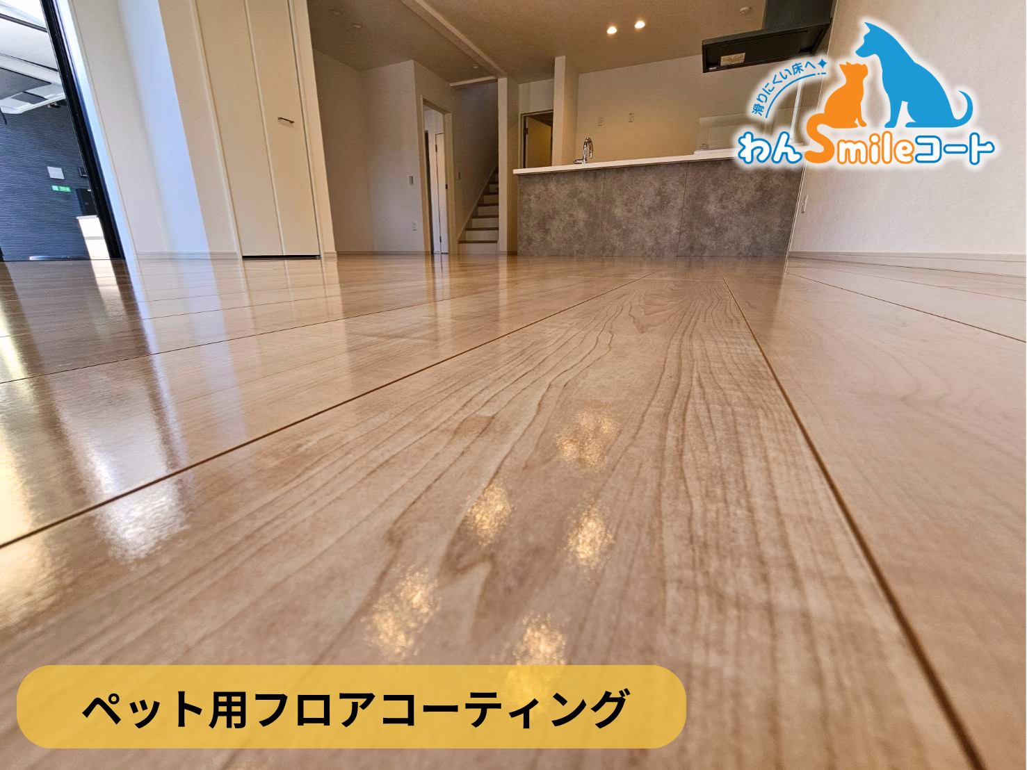 【東京都練馬区】ペット用フロアコーティング施工事例｜新築戸建て　わんスマイルコート