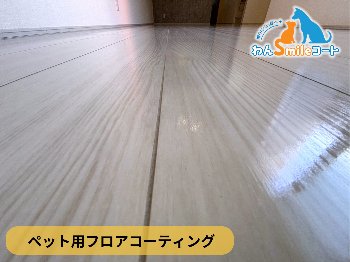 【東京都杉並区】ペット用フロアコーティング施工事例｜新築戸建て　わんスマイルコート