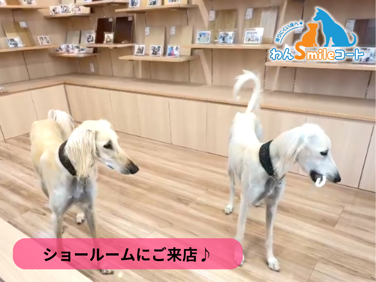 【郡山市】ショールームにご来店いただきました|フロアコーティングご相談事例