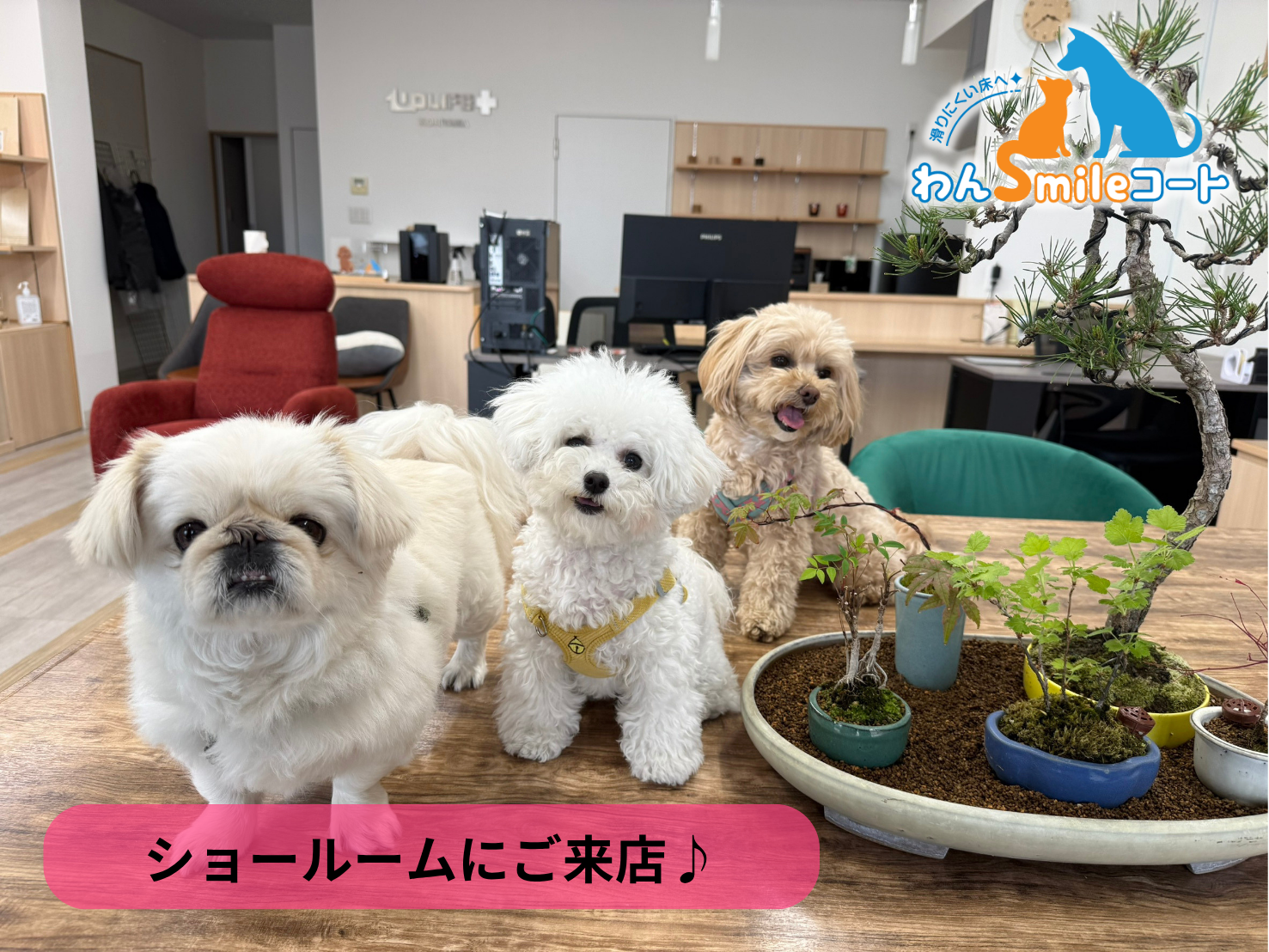 【郡山市】ショールームにご来店いただきました|フロアコーティングご相談事例