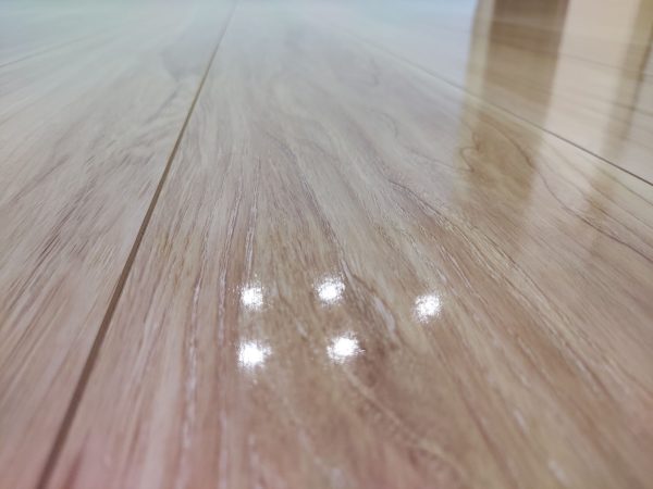 埼玉県川口市鳩ヶ谷 フロアコーティング 施工後 わんスマイルコート