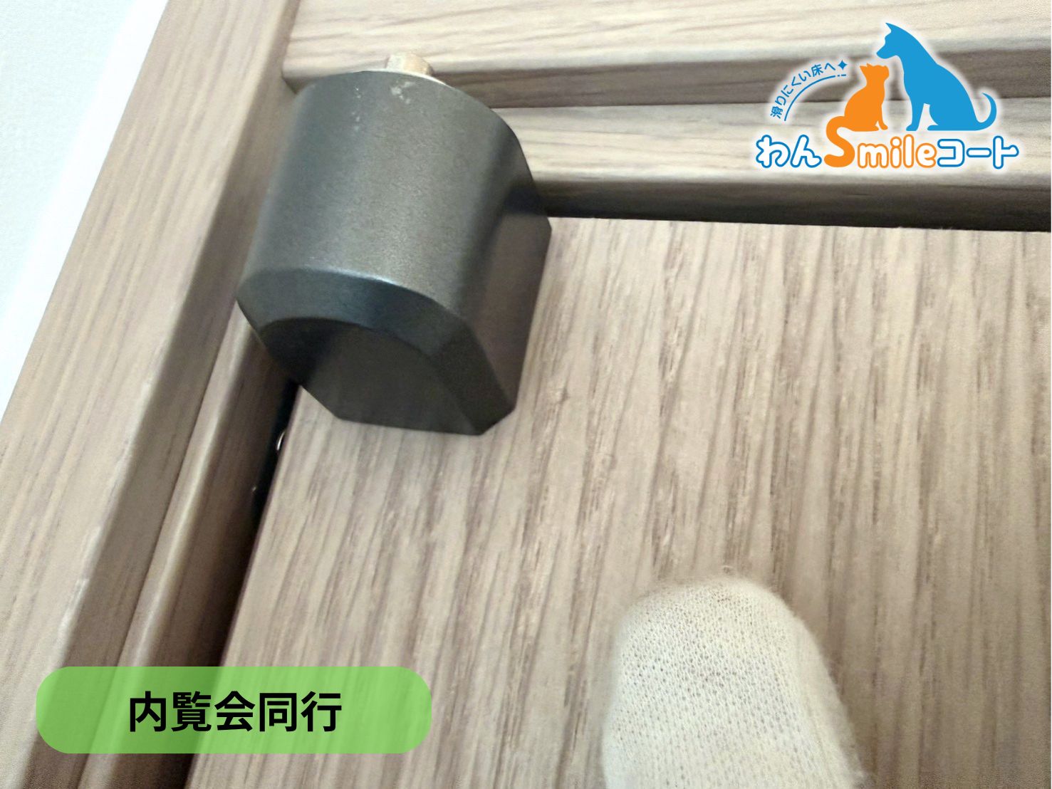【栃木県佐野市】フロアコーティング 新築戸建て 内覧会同行