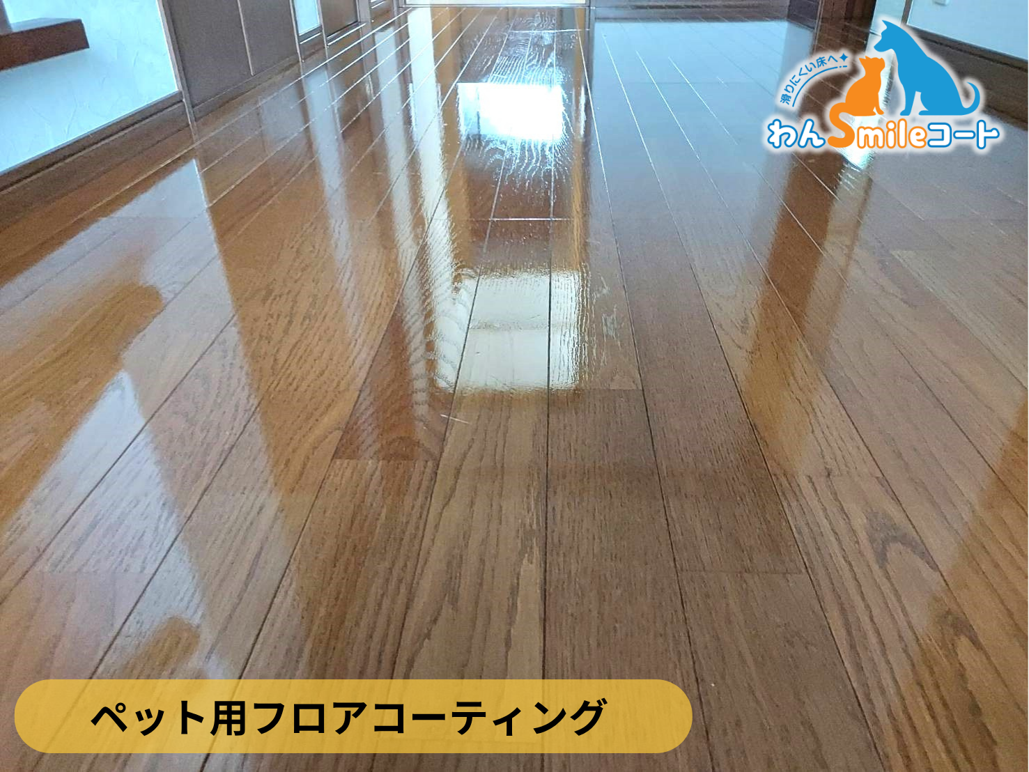 【福島県いわき市】ペット用フロアコーティング施工事例｜中古戸建て　わんスマイルコート