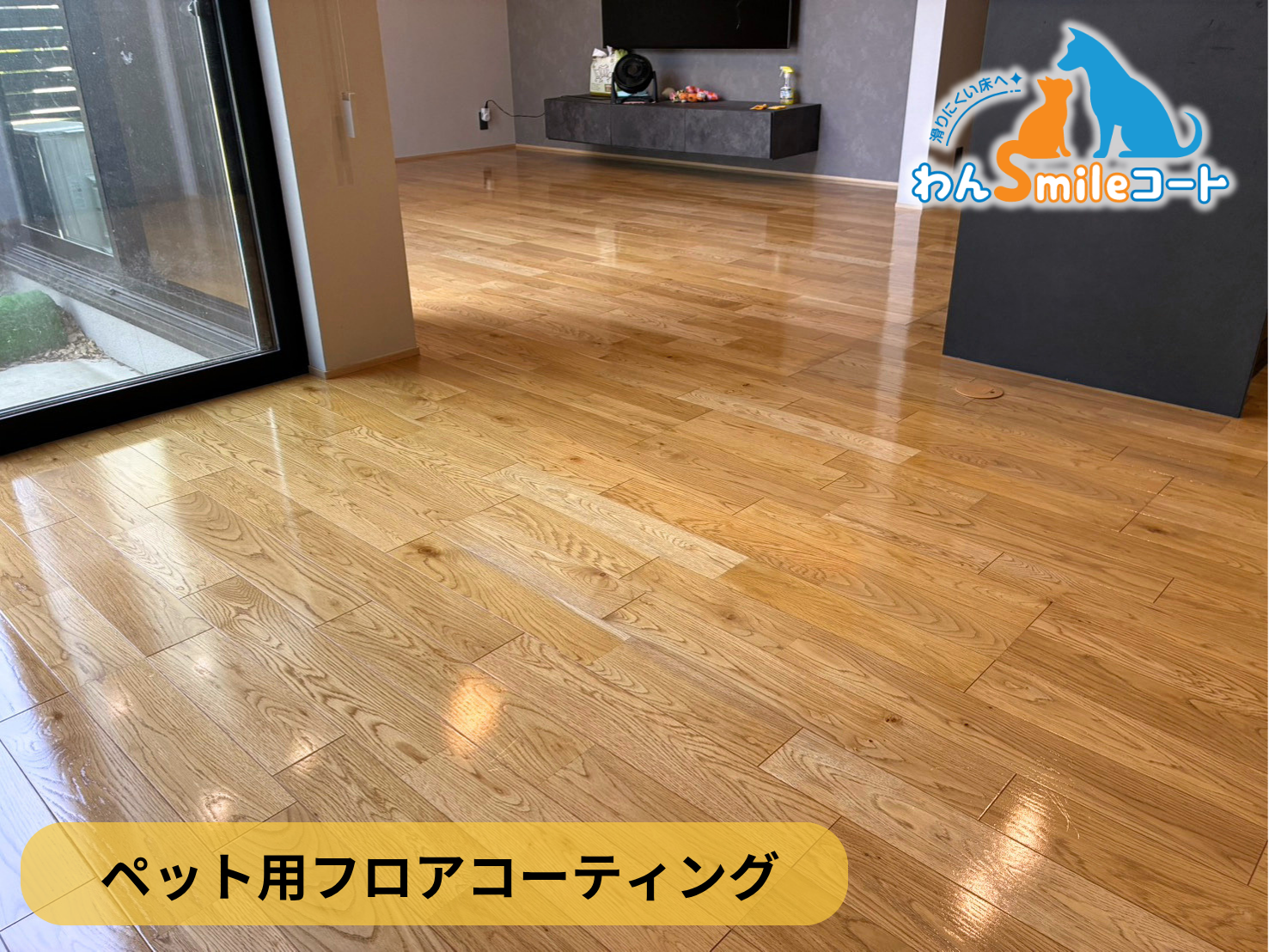 【茨城県結城郡】ペット用フロアコーティング施工事例｜入居中戸建て(２年)　わんスマイルコート