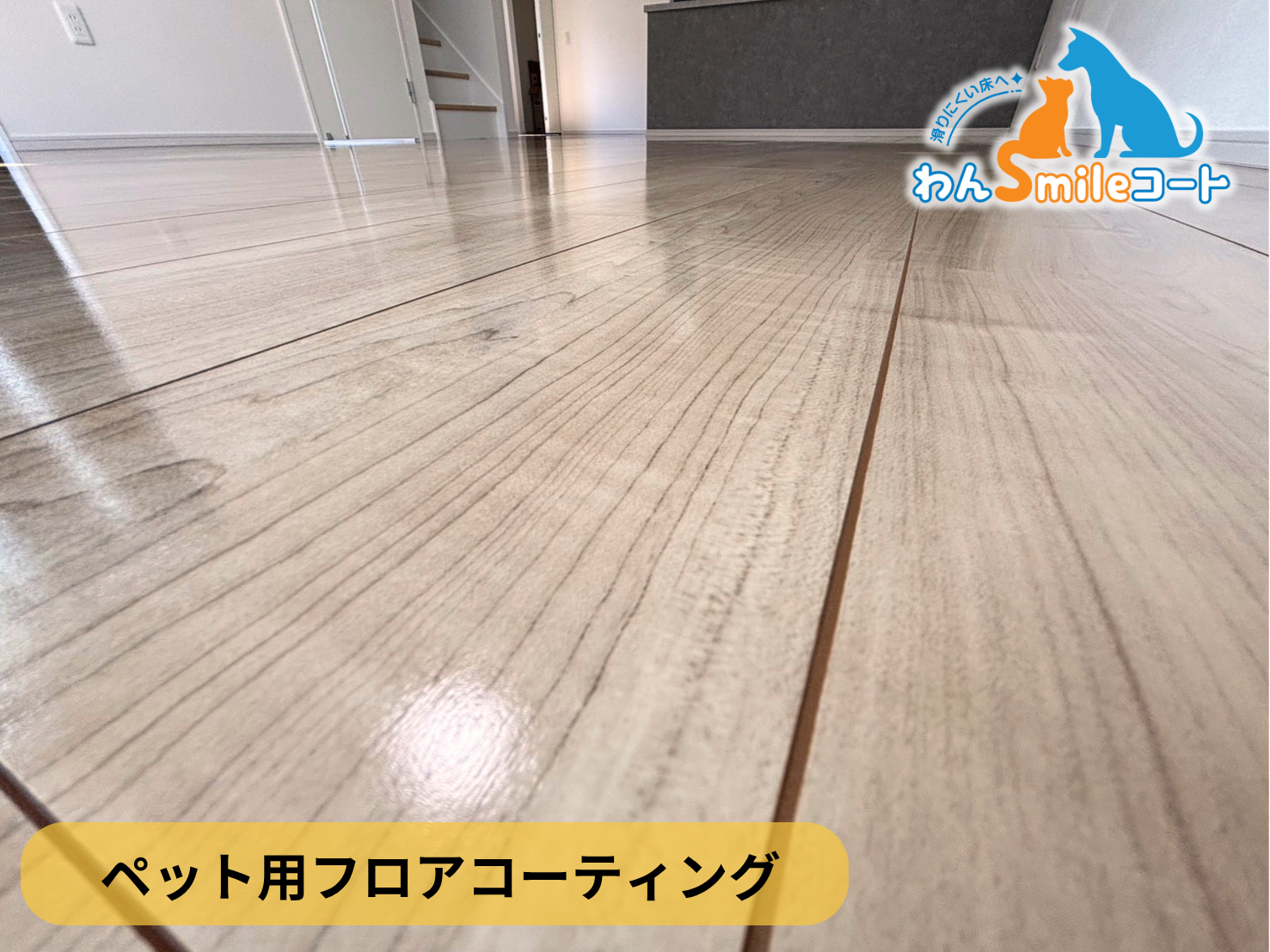 【神奈川県茅ケ崎市】ペット用フロアコーティング施工事例｜新築戸建て　わんスマイルコート