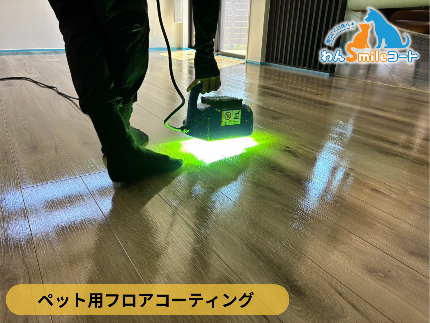 【宮城県石巻市】ペット用フロアコーティング施工事例｜入居中戸建て(１年)　わんスマイルコート