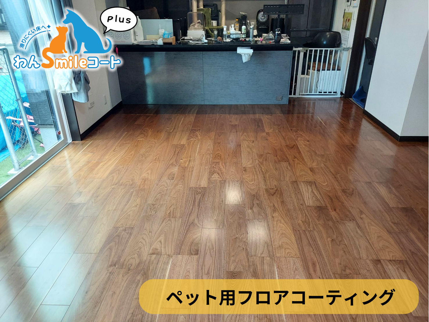 【埼玉県飯能市】ペット用フロアコーティング施工事例｜入居中戸建て(２年)　わんスマイルコートplus