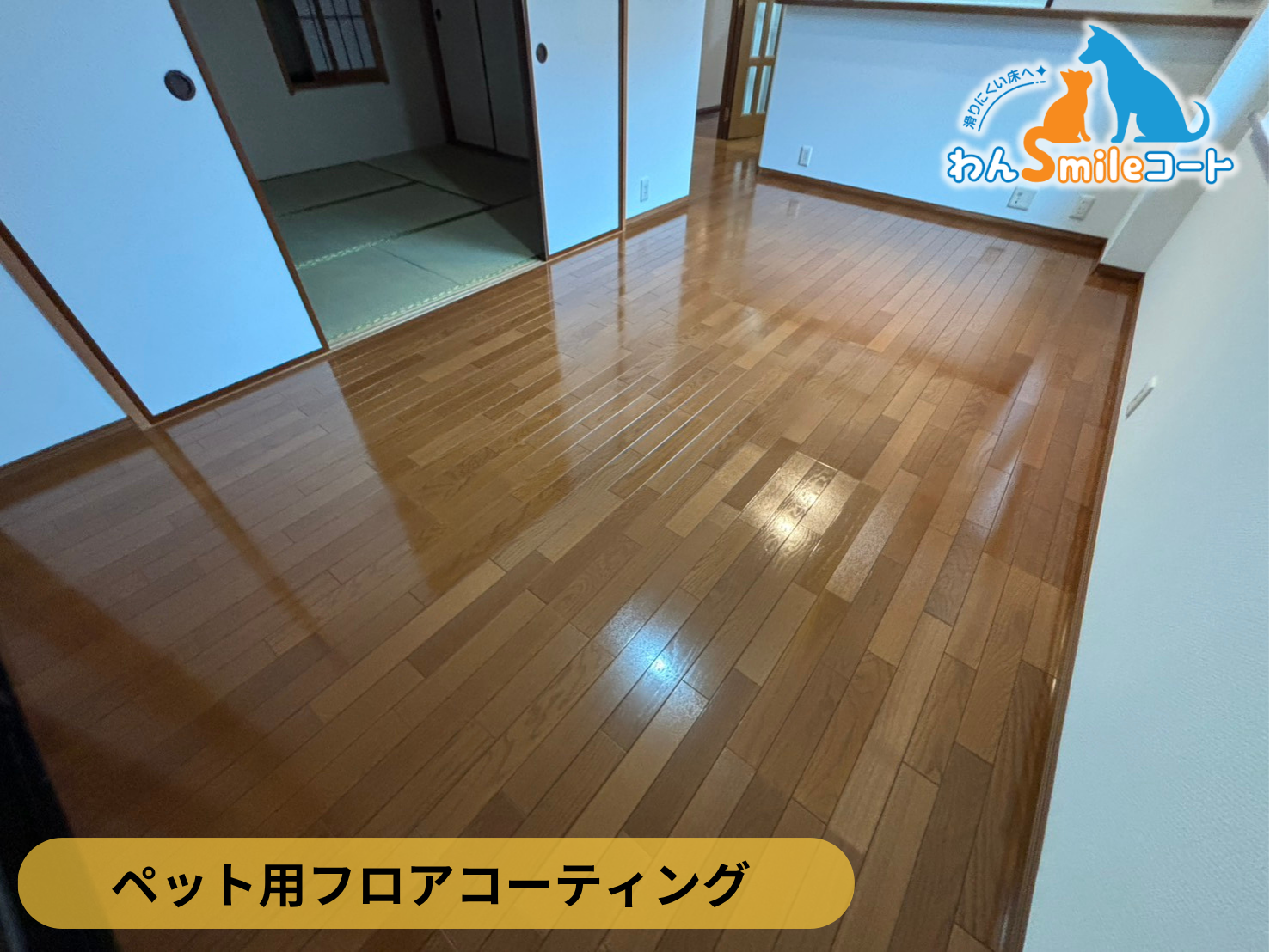 【埼玉県さいたま市桜区】ペット用フロアコーティング施工事例｜新築戸建て　わんスマイルコート