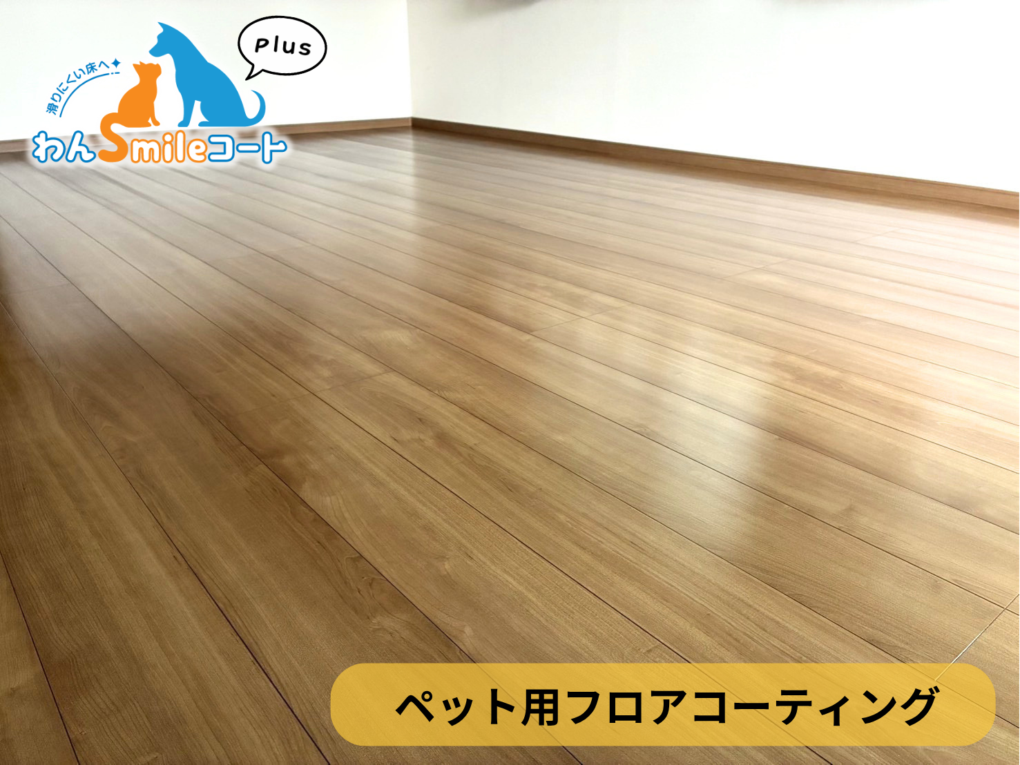 【宮城県仙台市宮城野区】ペット用フロアコーティング施工事例|入居中戸建て わんスマイルコートplus 2日目