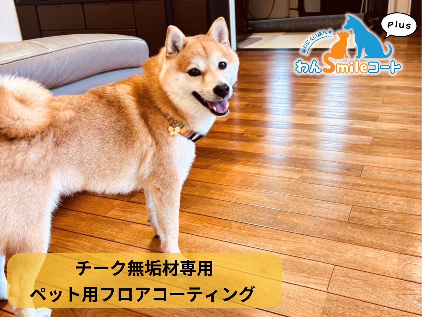 【栃木県壬生町】ペット用フロアコーティング施工事例｜入居中戸建て(16年)　わんスマイルコートplus(チーク無垢材)