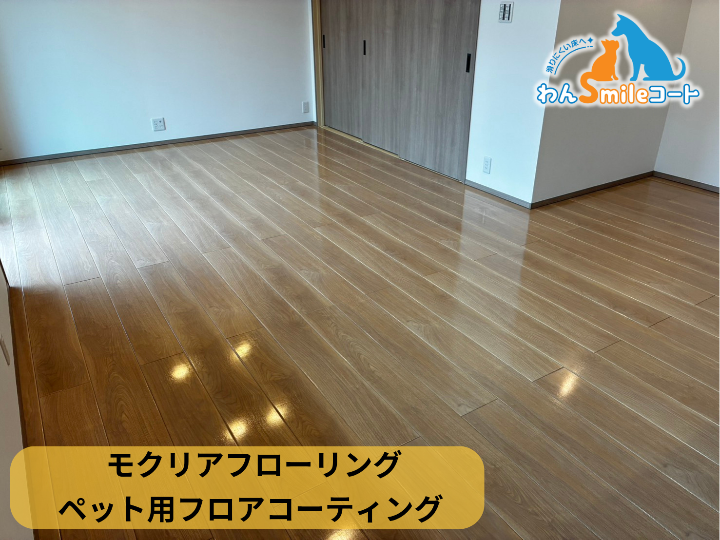 【栃木県佐野市】ペット用フロアコーティング施工事例｜新築戸建て　わんスマイルコート(モクリアフローリング)
