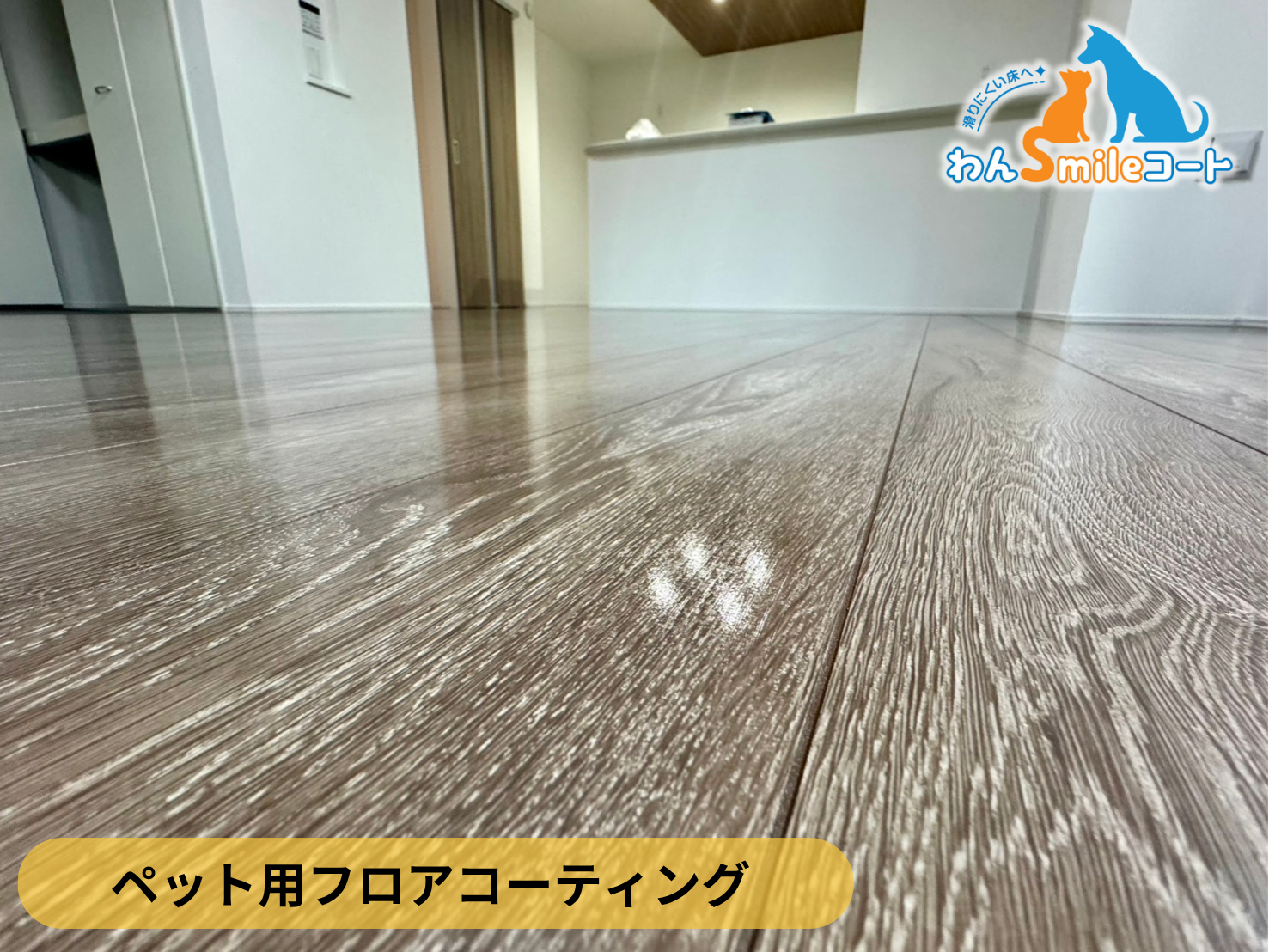 【東京都昭島市】ペット用フロアコーティング施工事例｜新築戸建て　わんスマイルコート