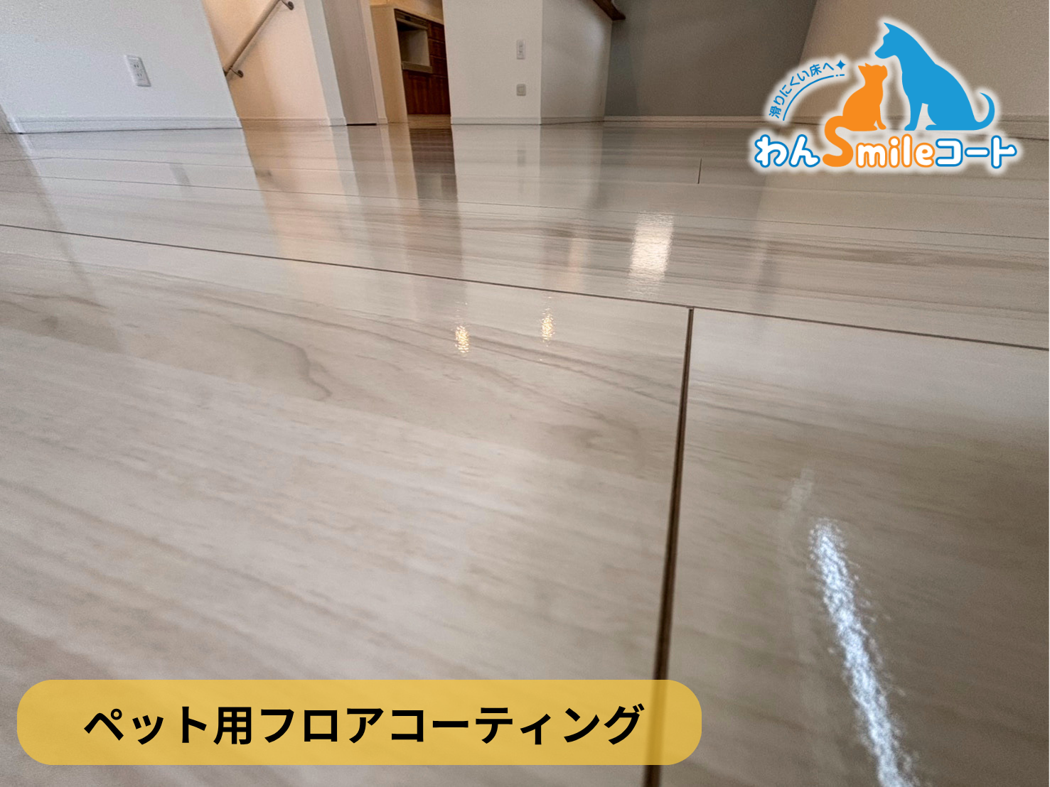 【東京都北区】ペット用フロアコーティング施工事例｜２～３年中古戸建て　わんスマイルコート