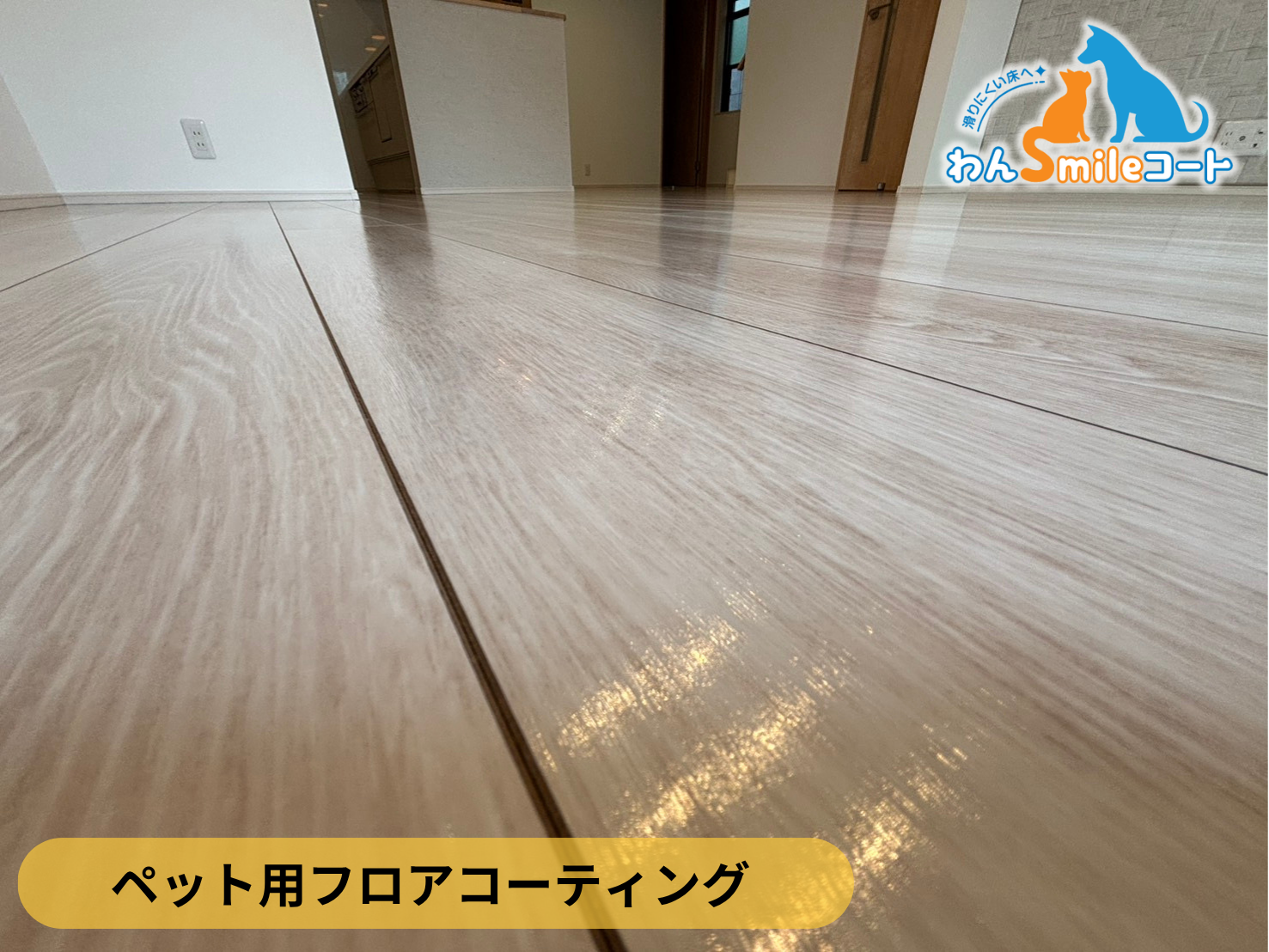 【東京都町田市】ペット用フロアコーティング施工事例｜新築戸建て　わんスマイルコート