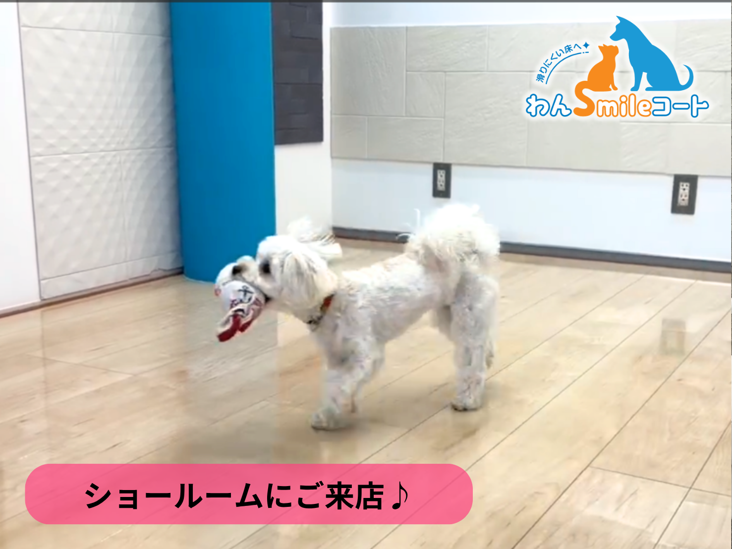 【埼玉県さいたま市】ショールームにご来店いただきました｜フロアコーティングご相談事例