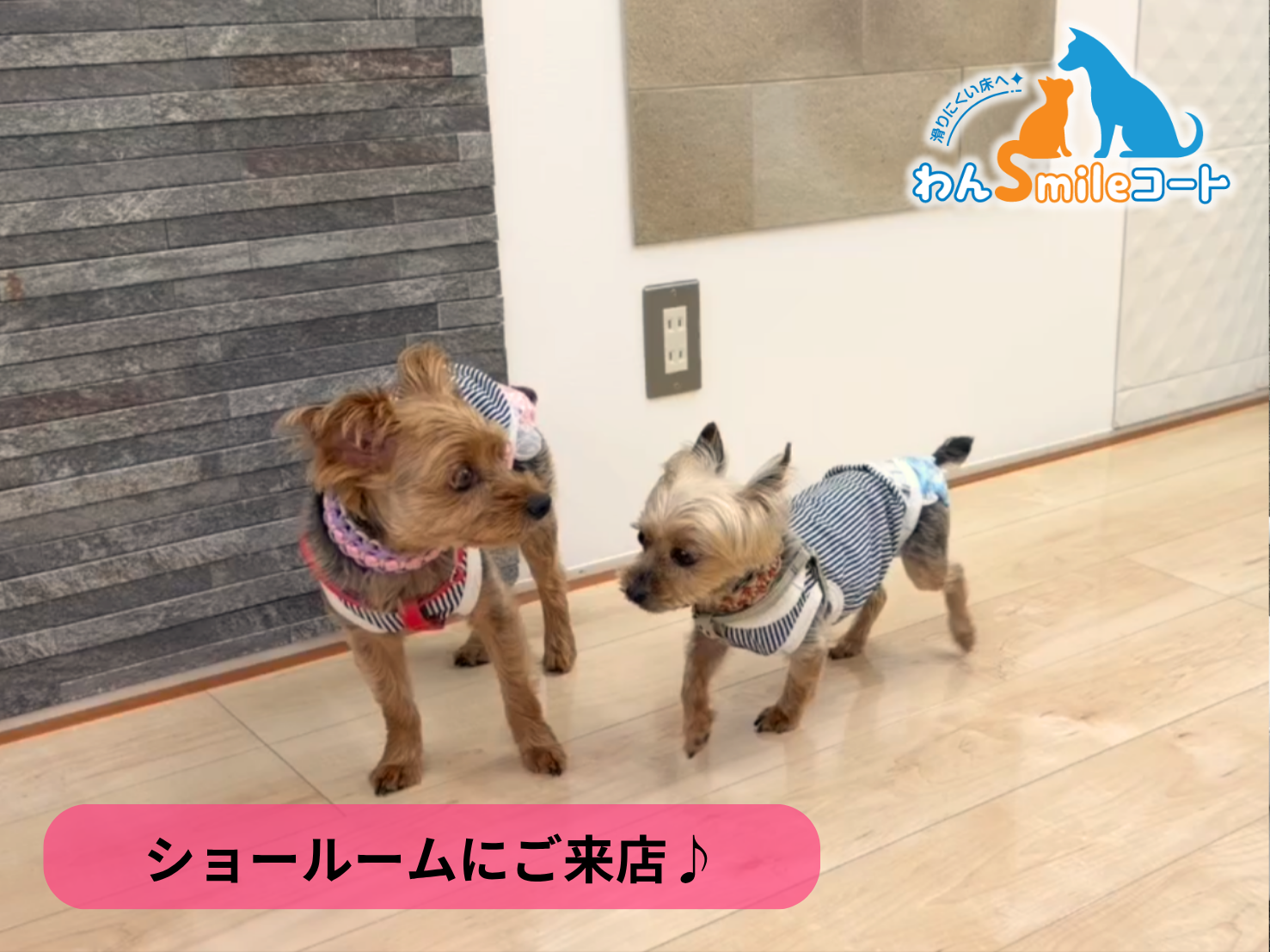 【埼玉県さいたま市】ショールームにご来店いただきました｜フロアコーティングご相談事例