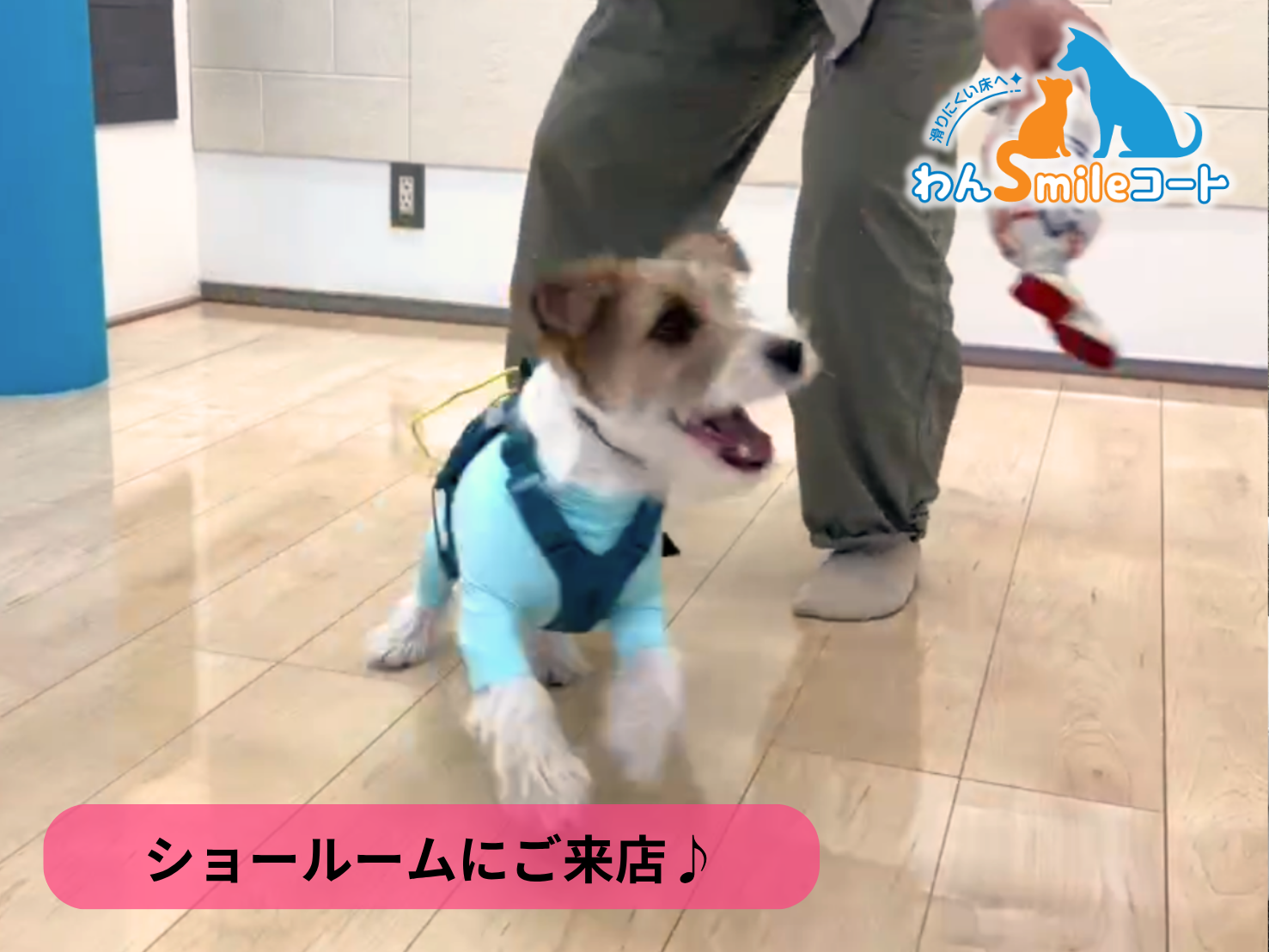 【埼玉県さいたま市】ショールームにご来店いただきました｜フロアコーティングご相談事例