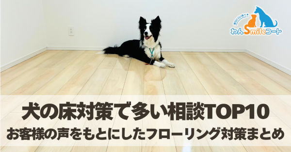 犬の床対策で多い相談TOP10|実際にあったお客様の声まとめ