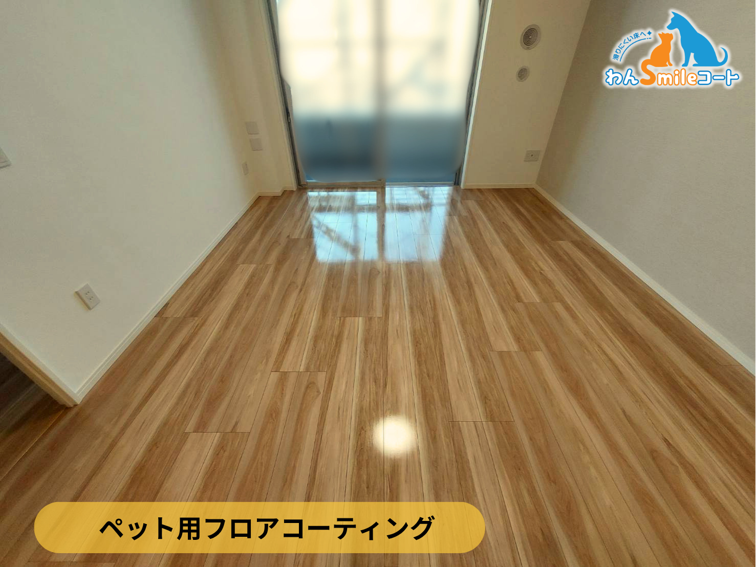 【福島県郡山市】ペット用フロアコーティング施工事例｜新築戸建て　わんスマイルコート