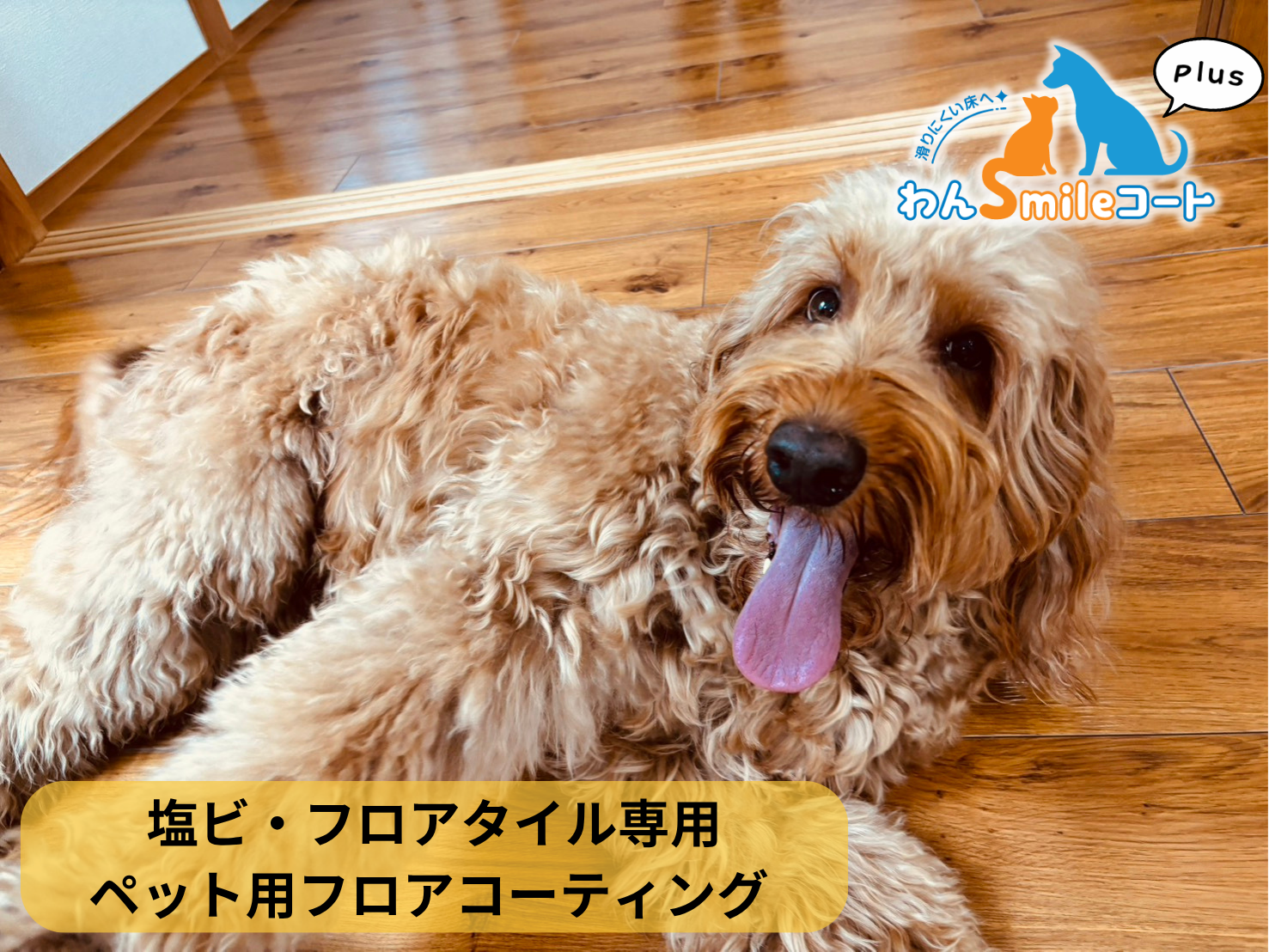 【千葉県市川市】ペット用フロアコーティング施工事例｜半年リノベーション戸建て　わんスマイルコートplus 塩ビ・フロアタイル専用