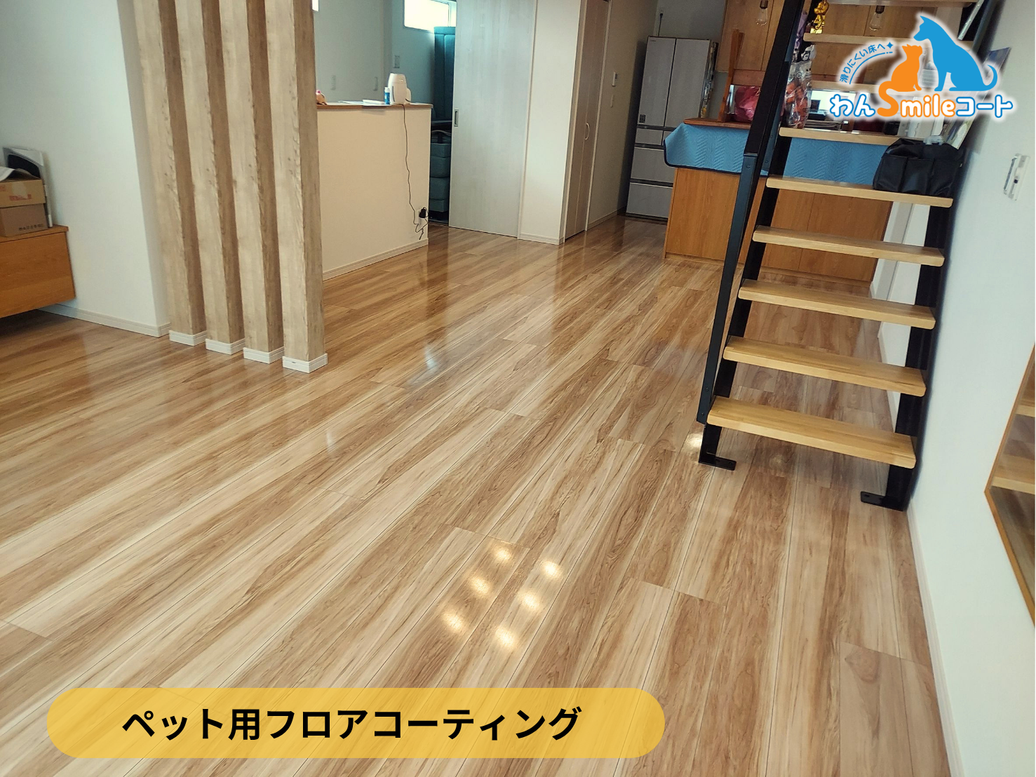 【千葉県柏市】ペット用フロアコーティング施工事例|入居中戸建て(4年) わんスマイルコート
