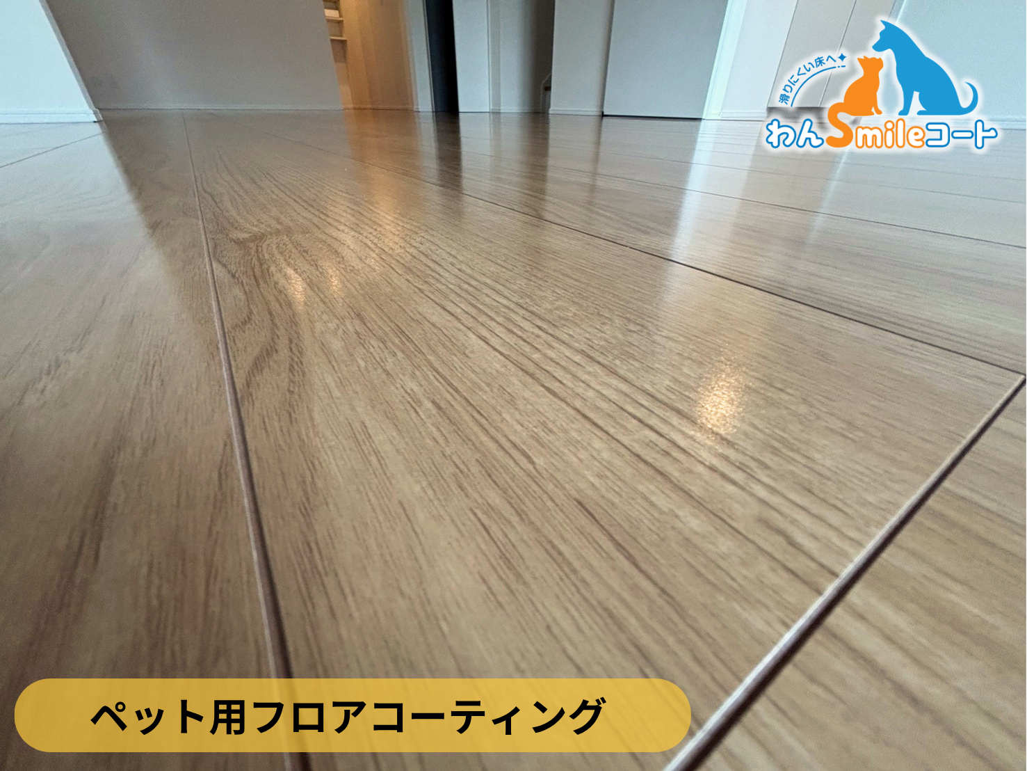 【群馬県太田市】ペット用フロアコーティング施工事例｜新築戸建て　わんスマイルコート