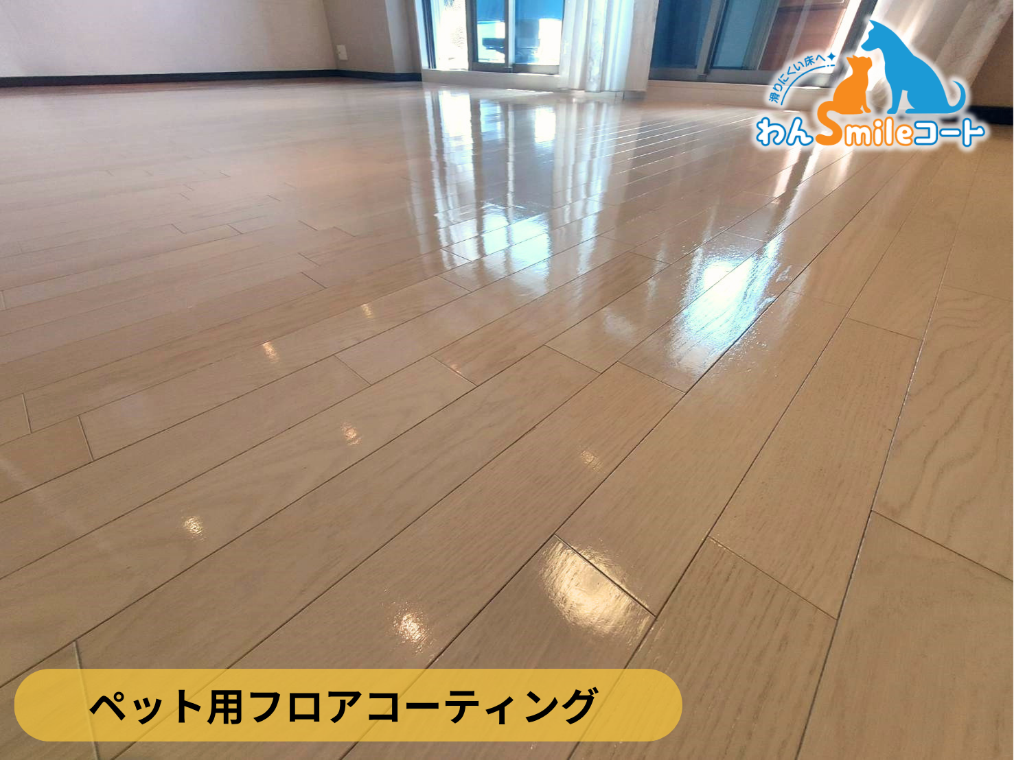 【宮城県仙台市青葉区】ペット用フロアコーティング施工事例｜入居中戸建て　わんスマイルコート