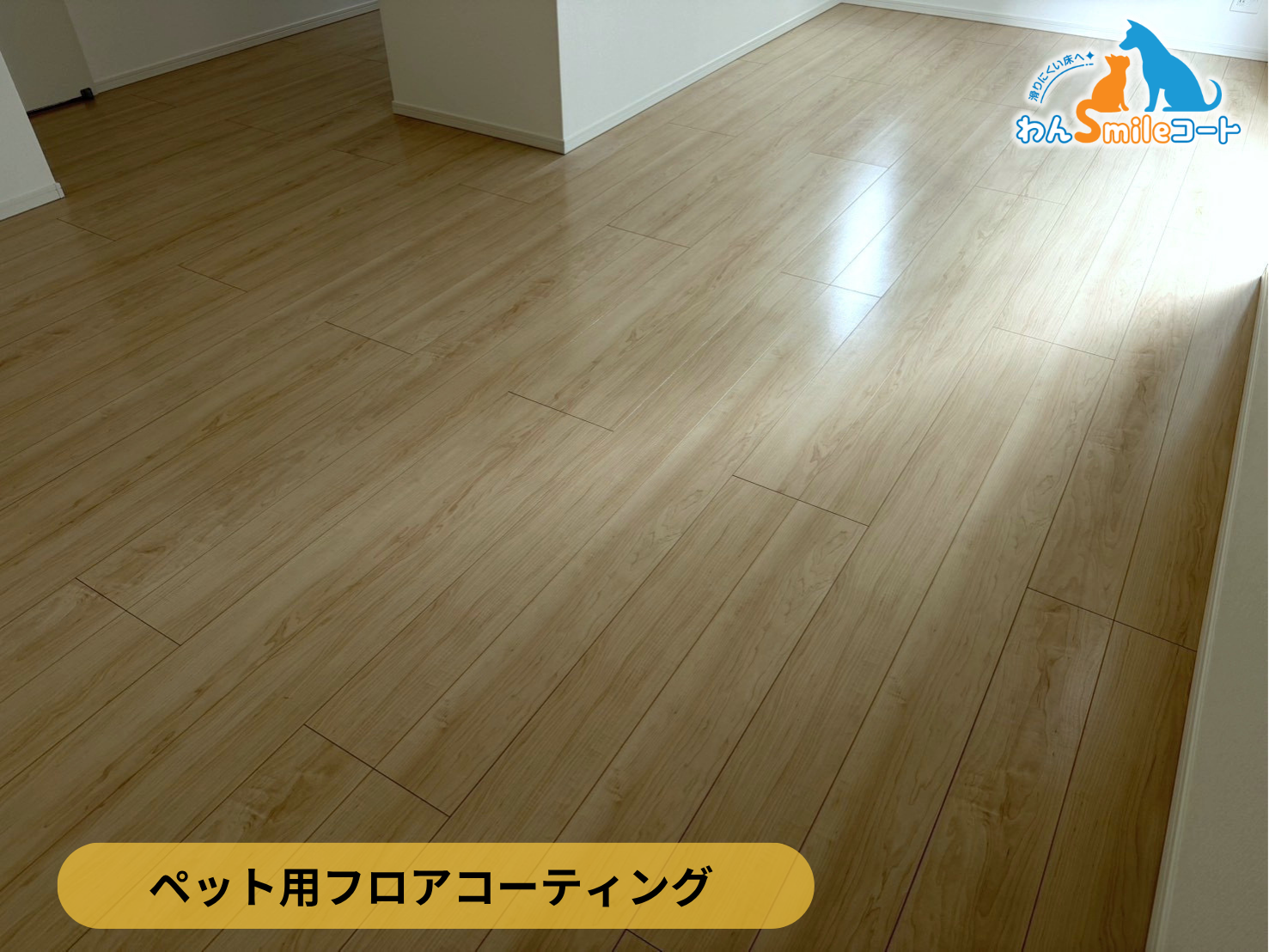 【新潟県新潟市江南区】ペット用フロアコーティング施工事例|新築戸建て わんスマイルコート