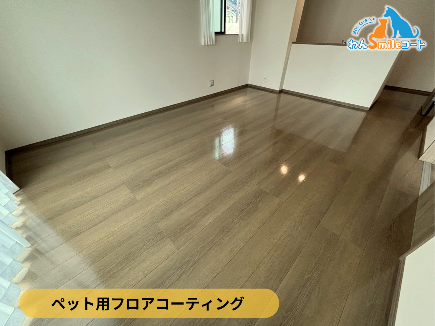 【埼玉県所沢市】ペット用フロアコーティング施工事例|新築戸建て わんスマイルコート