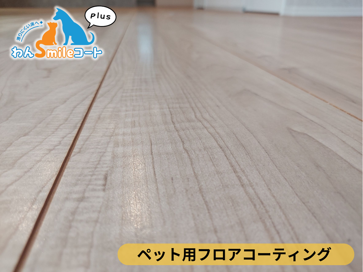 【東京都練馬区】ペット用フロアコーティング施工事例｜新築戸建て　わんスマイルコートplus
