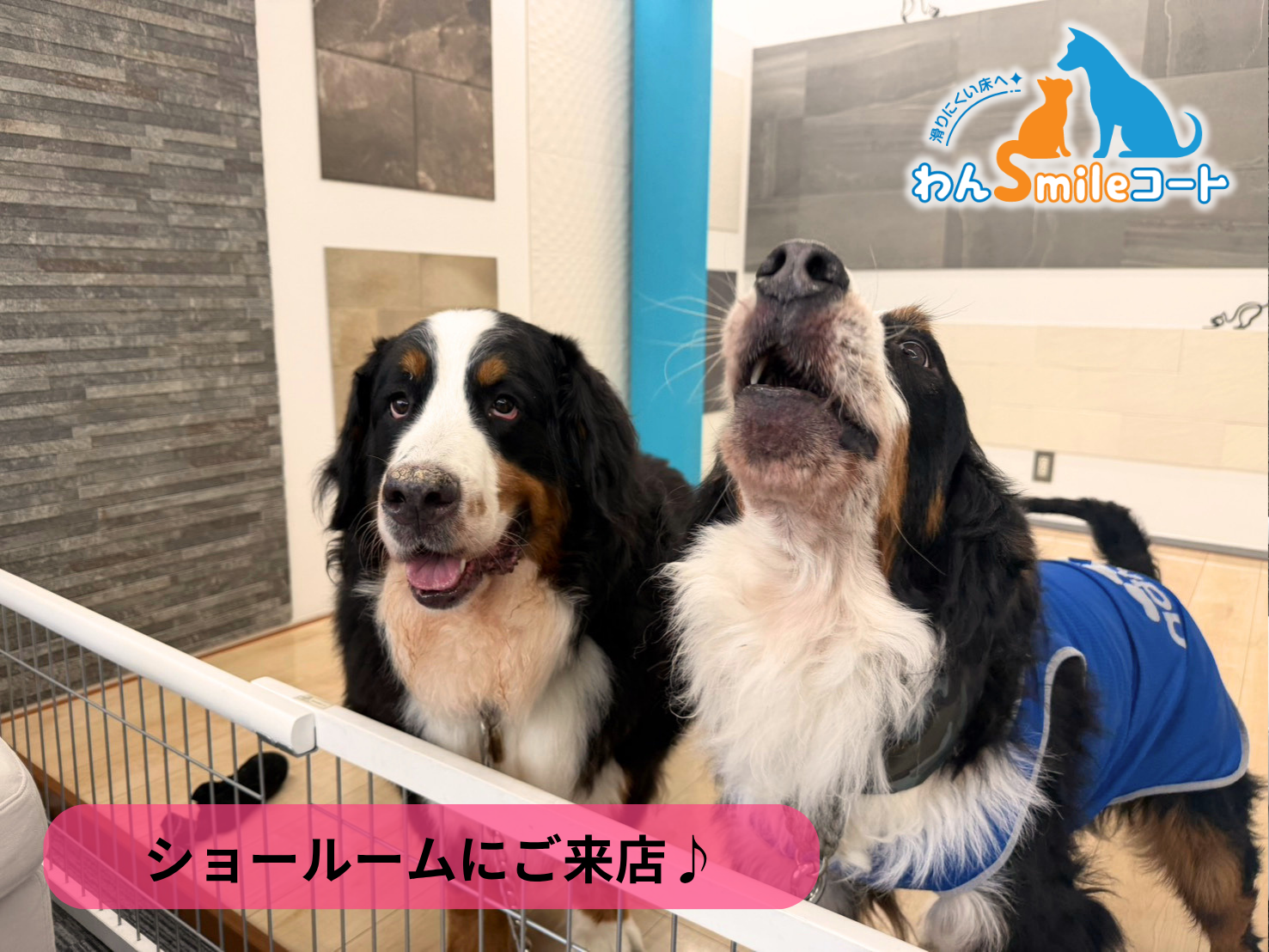 【埼玉県さいたま市】ショールームにご来店いただきました｜フロアコーティングご相談事例