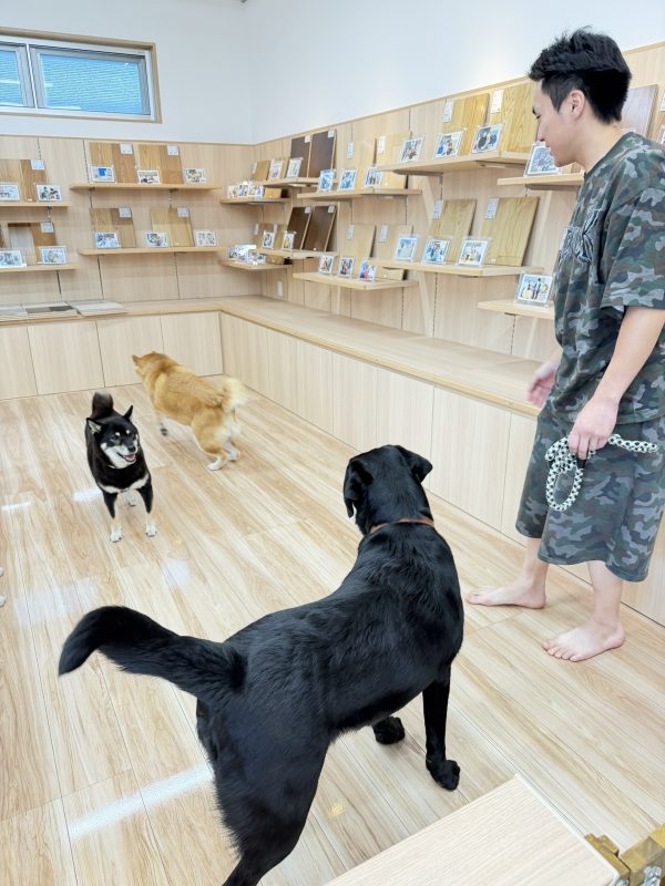 郡山ショールーム　フロアコーティング　お客様の様子