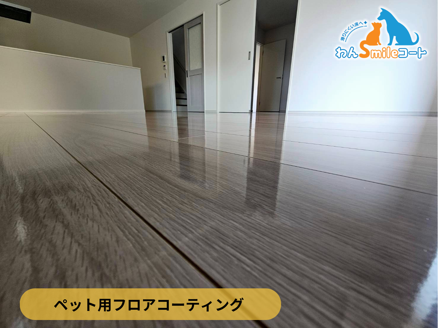 【千葉県流山市】新地戸建てにわんスマイルコートを施工｜愛犬の滑り対策におすすめのペット用フロアコーティング