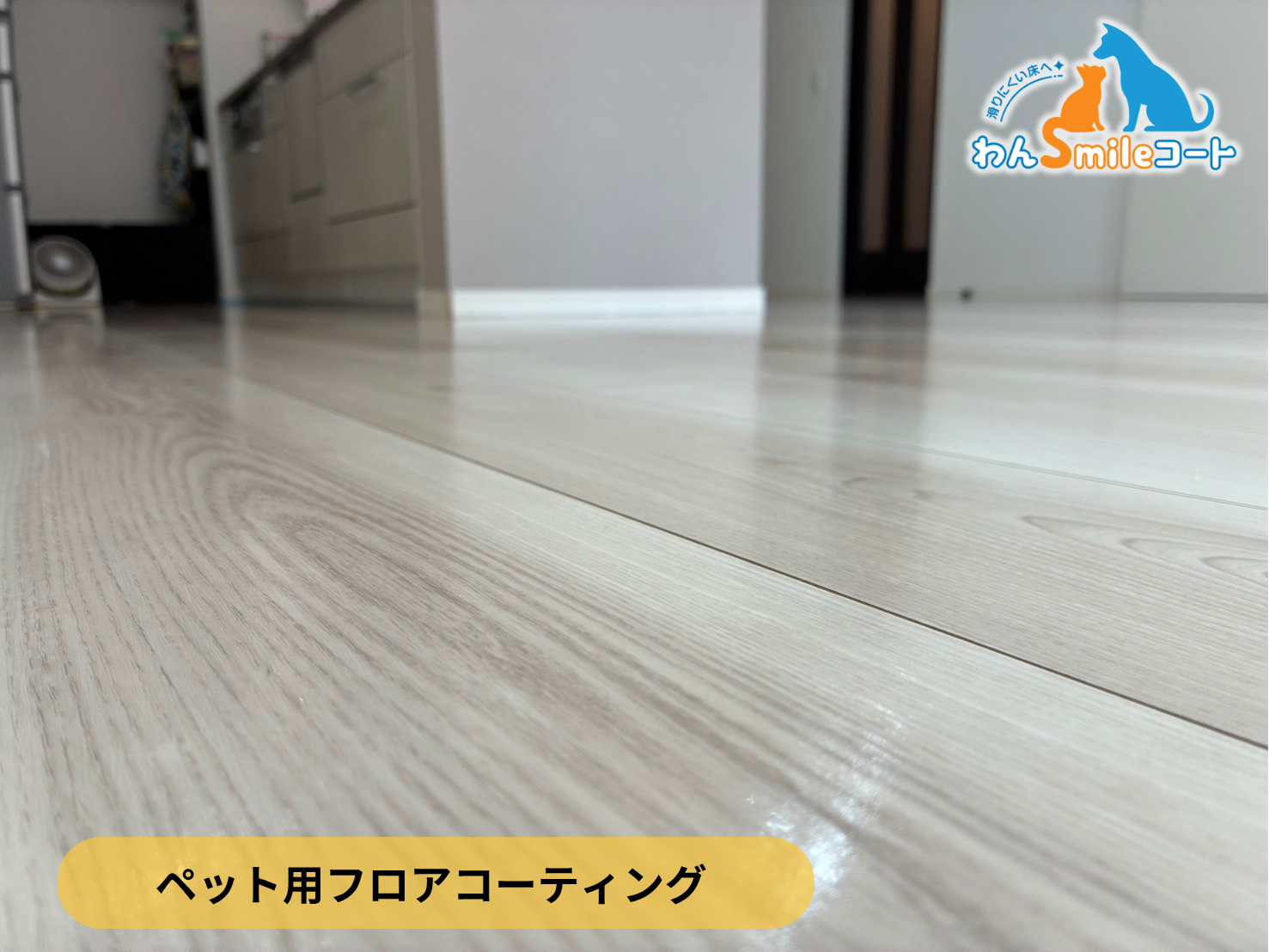 【千葉県習志野市】ペット用フロアコーティング施工事例｜入居中戸建て(3年)　わんスマイルコート(DAIKEN イエリアフロア)