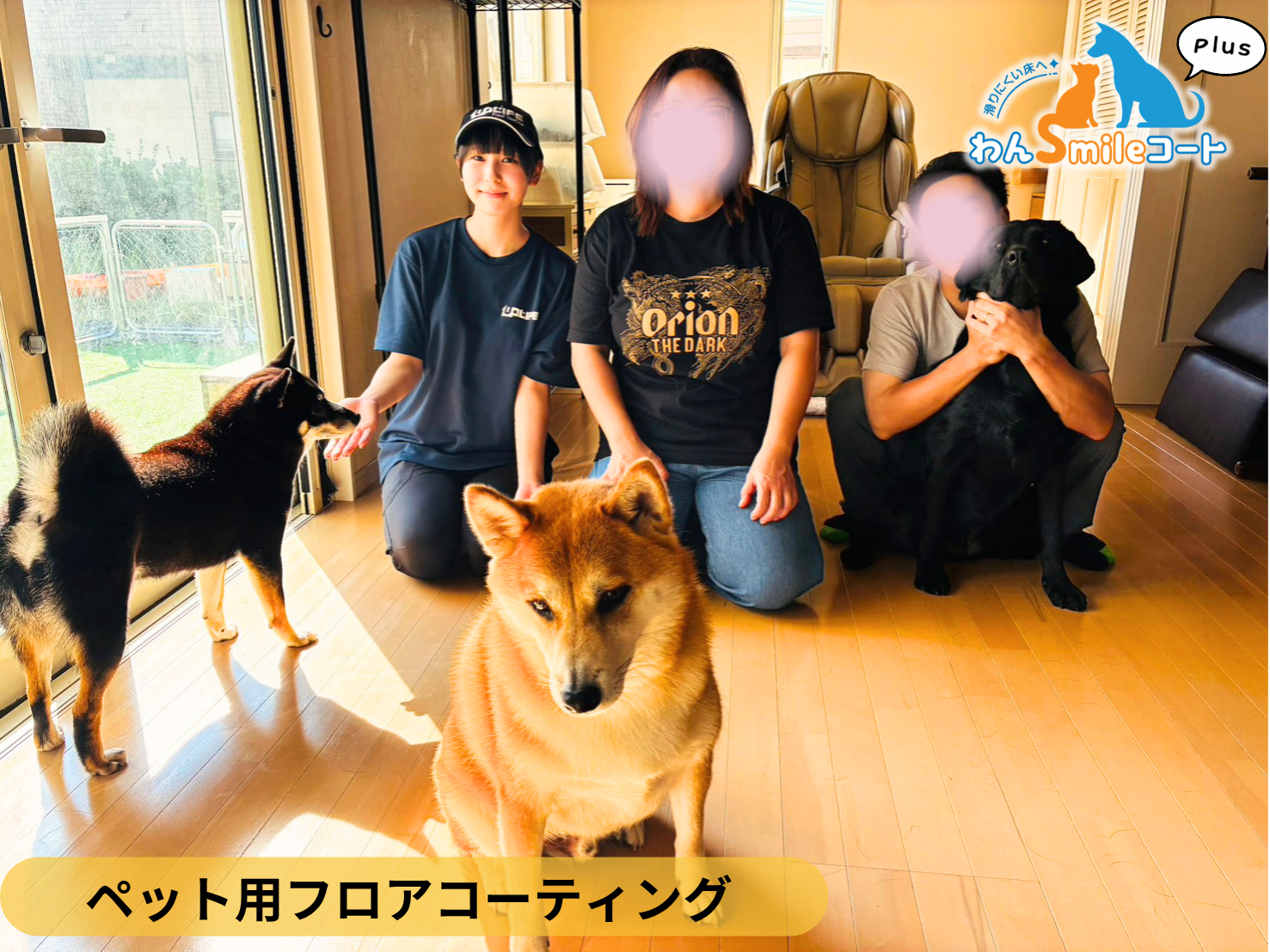 【福島県福島市】わんスマイルコートPlus施工事例｜犬が滑りにくいマット仕上げのフロアコーティング